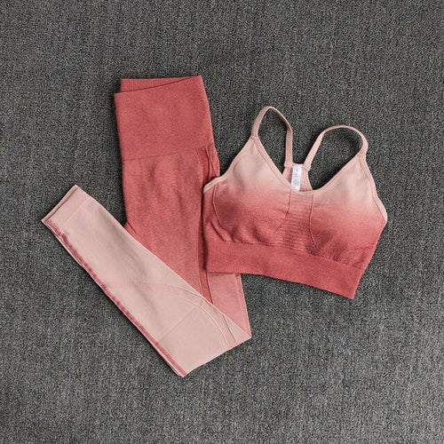 Ombre Seamless Fitness Wear