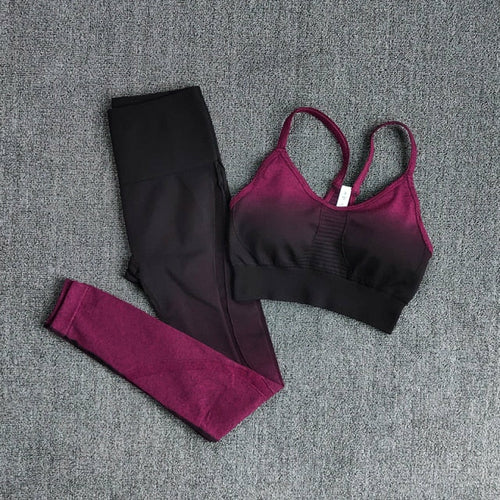 Ombre Seamless Fitness Wear